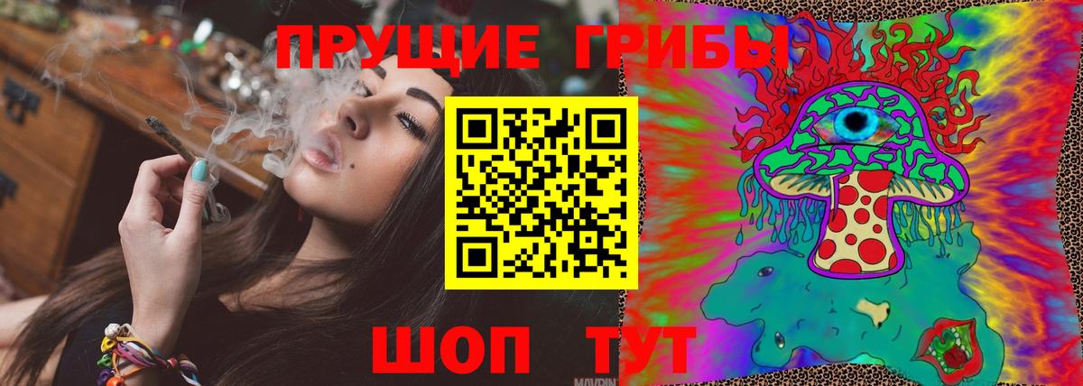 Донской  Галлюциногенные грибы Psilocybe  Вход с VPN 