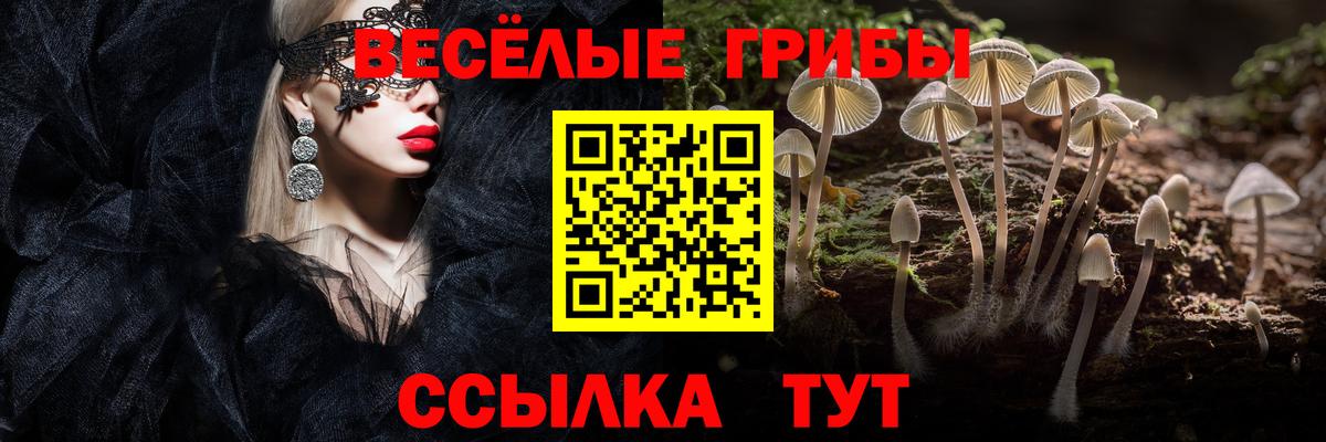 Галлюциногенные грибы MAGIC MUSHROOMS Донской
